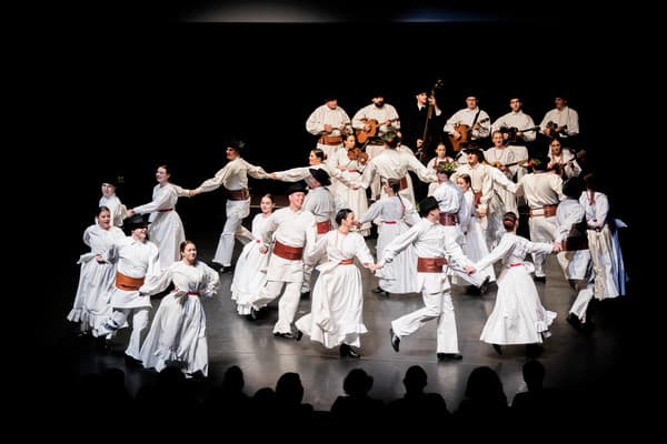 23 BN IS FSD rol. 8(1).jpg